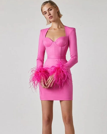 Elegante jurk met lange mouwen en veren