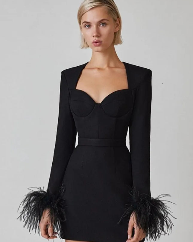 Elegante jurk met lange mouwen en veren