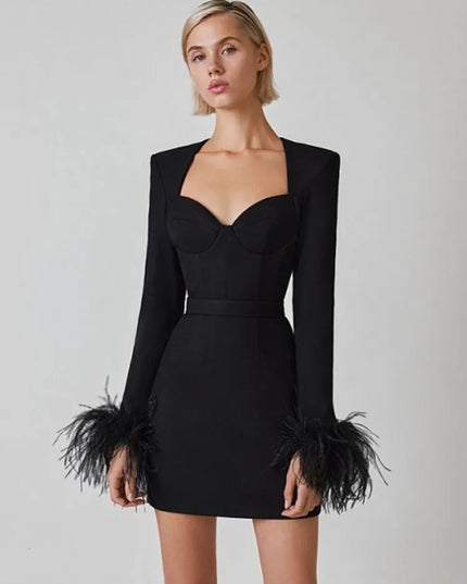 Elegante jurk met lange mouwen en veren