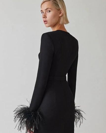 Elegante jurk met lange mouwen en veren