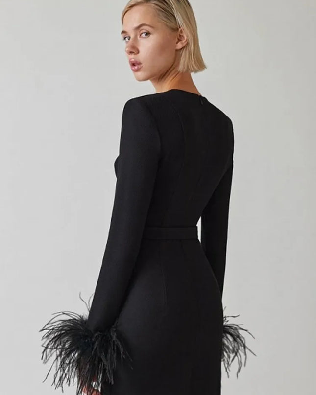 Elegante jurk met lange mouwen en veren